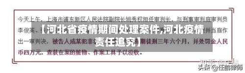 【河北省疫情期间处理案件,河北疫情责任追究】-第1张图片
