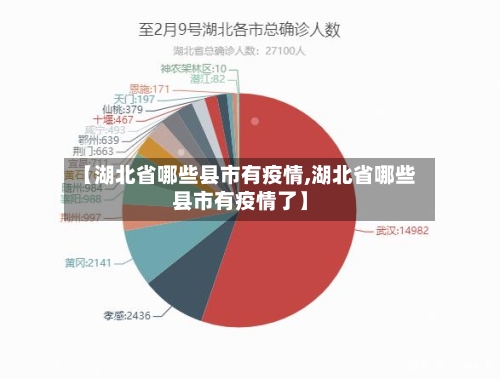 【湖北省哪些县市有疫情,湖北省哪些县市有疫情了】-第1张图片