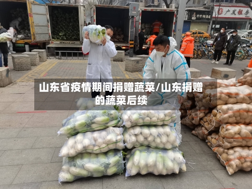 山东省疫情期间捐赠蔬菜/山东捐赠的蔬菜后续-第1张图片