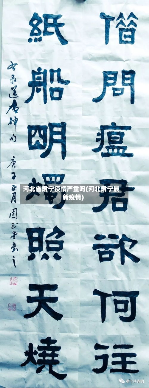 河北省肃宁疫情严重吗(河北肃宁最新疫情)-第2张图片