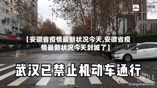 【安徽省疫情最新状况今天,安徽省疫情最新状况今天封城了】-第3张图片