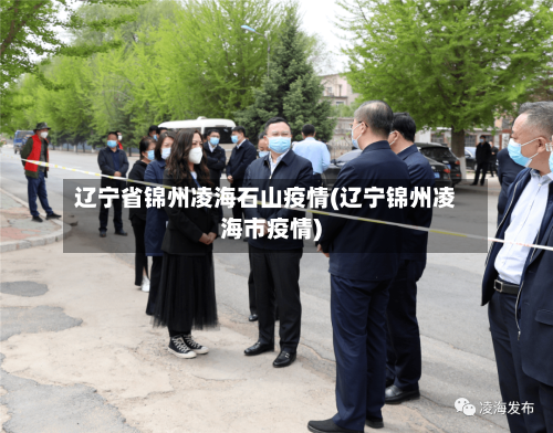 辽宁省锦州凌海石山疫情(辽宁锦州凌海市疫情)-第2张图片