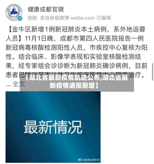 【湖北省最新疫情轨迹公布,湖北省最新疫情通报新增】-第1张图片