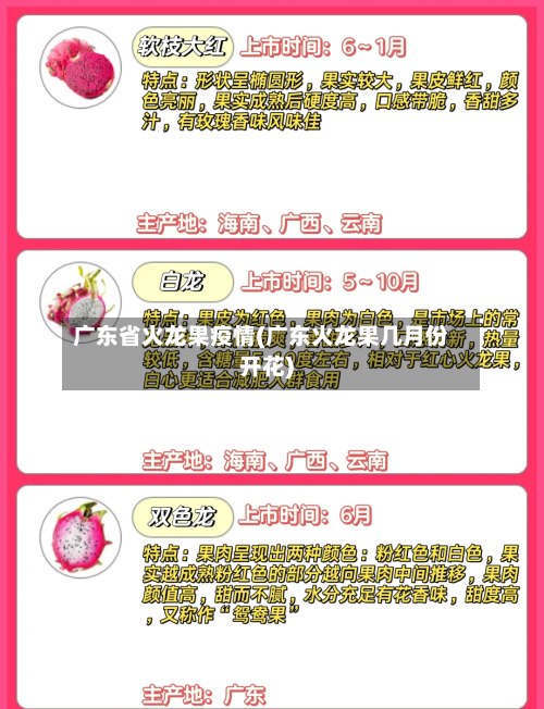 广东省火龙果疫情(广东火龙果几月份开花)-第3张图片