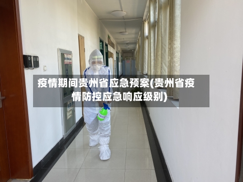 疫情期间贵州省应急预案(贵州省疫情防控应急响应级别)-第2张图片