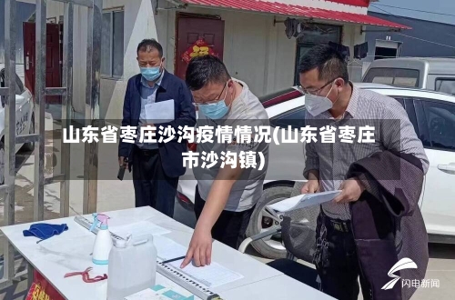 山东省枣庄沙沟疫情情况(山东省枣庄市沙沟镇)-第1张图片