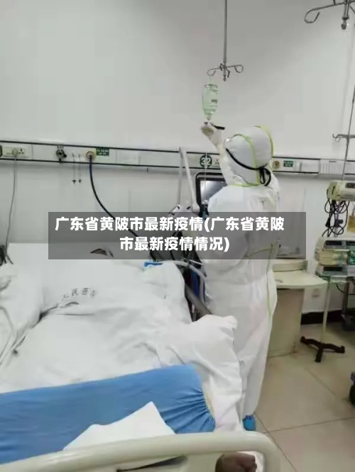 广东省黄陂市最新疫情(广东省黄陂市最新疫情情况)-第1张图片