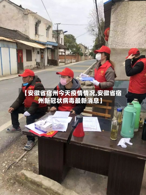 【安徽省宿州今天疫情情况,安徽省宿州新冠状病毒最新消息】-第3张图片