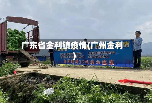 广东省金利镇疫情(广州金利)-第2张图片