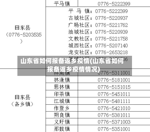 山东省如何报备返乡疫情(山东省如何报备返乡疫情情况)-第2张图片