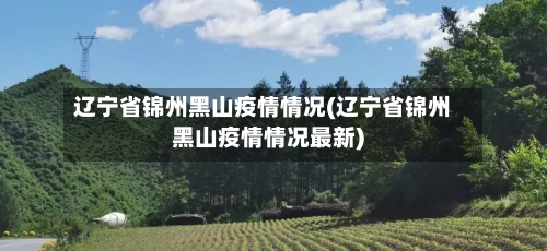 辽宁省锦州黑山疫情情况(辽宁省锦州黑山疫情情况最新)-第1张图片