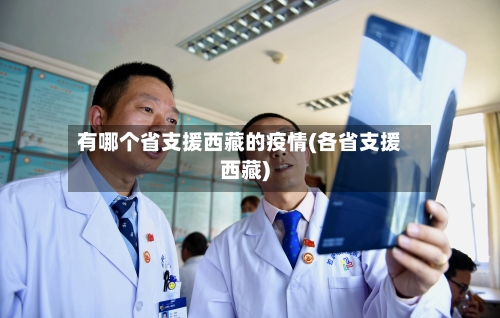 有哪个省支援西藏的疫情(各省支援西藏)-第2张图片