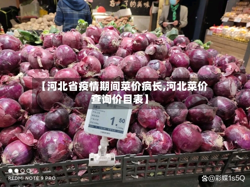 【河北省疫情期间菜价疯长,河北菜价查询价目表】-第2张图片