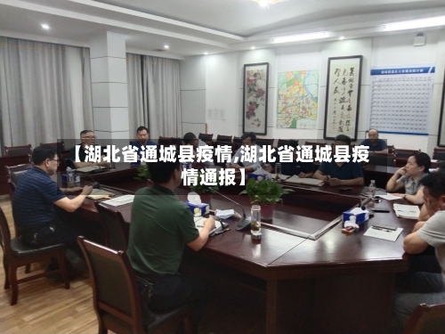 【湖北省通城县疫情,湖北省通城县疫情通报】-第3张图片