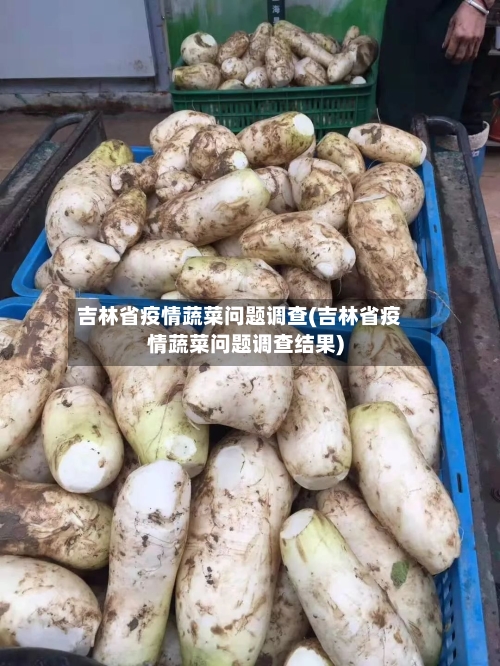 吉林省疫情蔬菜问题调查(吉林省疫情蔬菜问题调查结果)-第1张图片