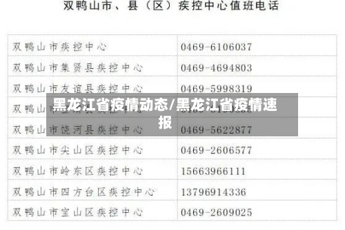 黑龙江省疫情动态/黑龙江省疫情速报-第3张图片