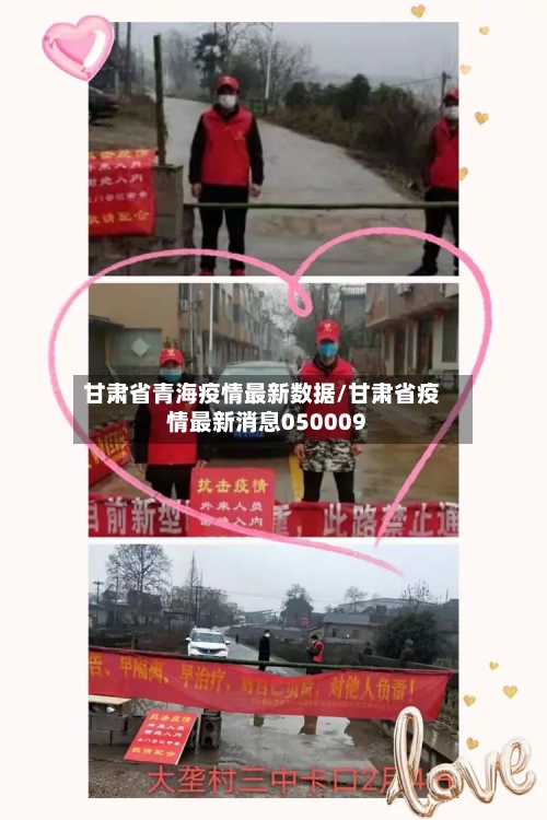甘肃省青海疫情最新数据/甘肃省疫情最新消息050009-第1张图片