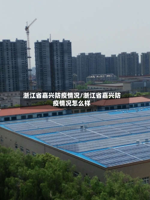 浙江省嘉兴防疫情况/浙江省嘉兴防疫情况怎么样-第3张图片