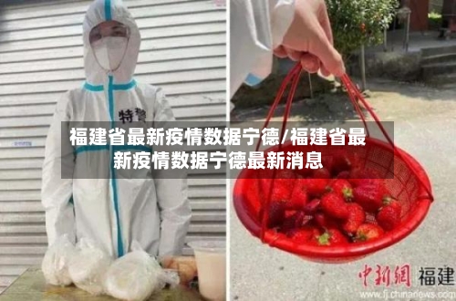 福建省最新疫情数据宁德/福建省最新疫情数据宁德最新消息-第1张图片