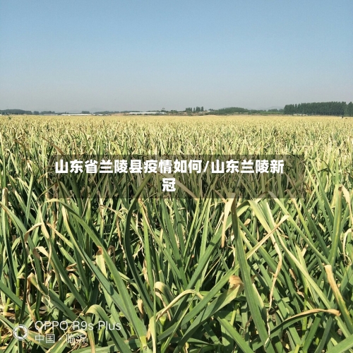 山东省兰陵县疫情如何/山东兰陵新冠-第2张图片