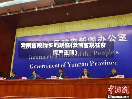 云南省疫情多吗现在(云南省现在疫情严重吗)-第2张图片