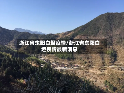 浙江省东阳白坦疫情/浙江省东阳白坦疫情最新消息-第1张图片