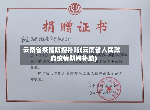 云南省疫情防控补贴(云南省人民政府疫情期间补助)-第2张图片