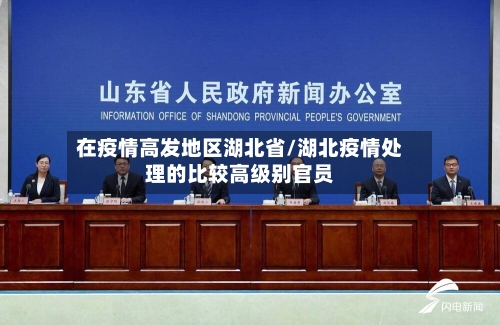 在疫情高发地区湖北省/湖北疫情处理的比较高级别官员-第2张图片