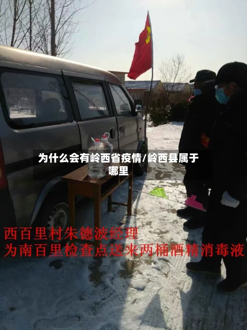 为什么会有岭西省疫情/岭西县属于哪里-第3张图片