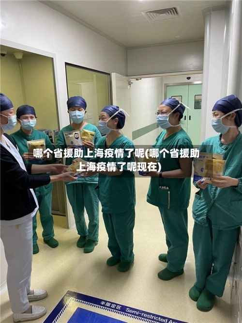 哪个省援助上海疫情了呢(哪个省援助上海疫情了呢现在)-第1张图片
