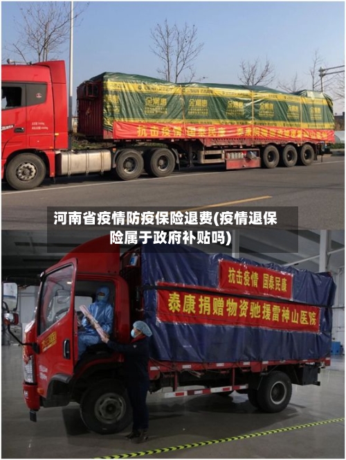 河南省疫情防疫保险退费(疫情退保险属于政府补贴吗)-第2张图片