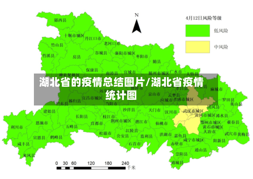 湖北省的疫情总结图片/湖北省疫情统计图-第3张图片