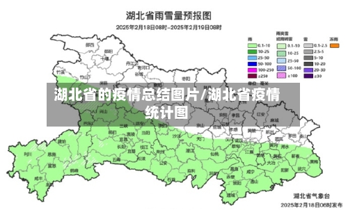 湖北省的疫情总结图片/湖北省疫情统计图-第1张图片