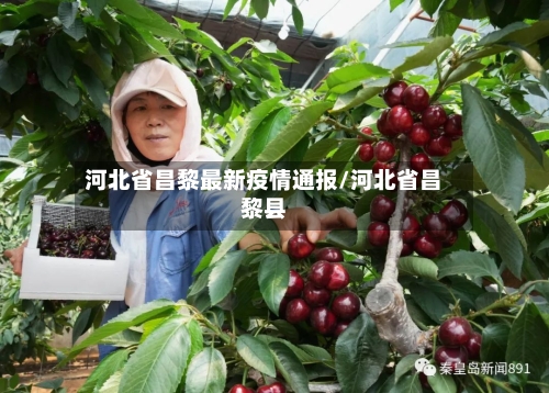 河北省昌黎最新疫情通报/河北省昌黎县-第3张图片