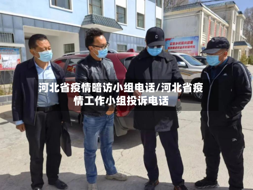 河北省疫情暗访小组电话/河北省疫情工作小组投诉电话-第3张图片