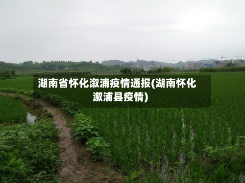 湖南省怀化溆浦疫情通报(湖南怀化溆浦县疫情)-第2张图片
