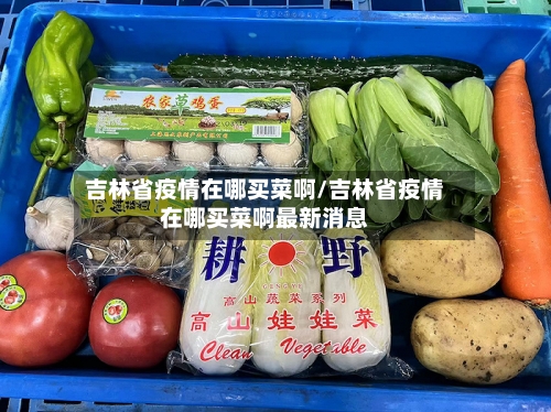 吉林省疫情在哪买菜啊/吉林省疫情在哪买菜啊最新消息-第1张图片