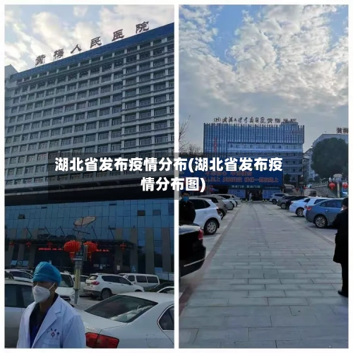 湖北省发布疫情分布(湖北省发布疫情分布图)-第2张图片