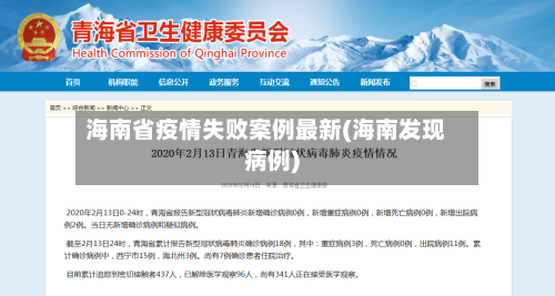 海南省疫情失败案例最新(海南发现病例)-第1张图片