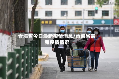 青海省今日最新疫情消息/青海省最新疫情情况-第2张图片