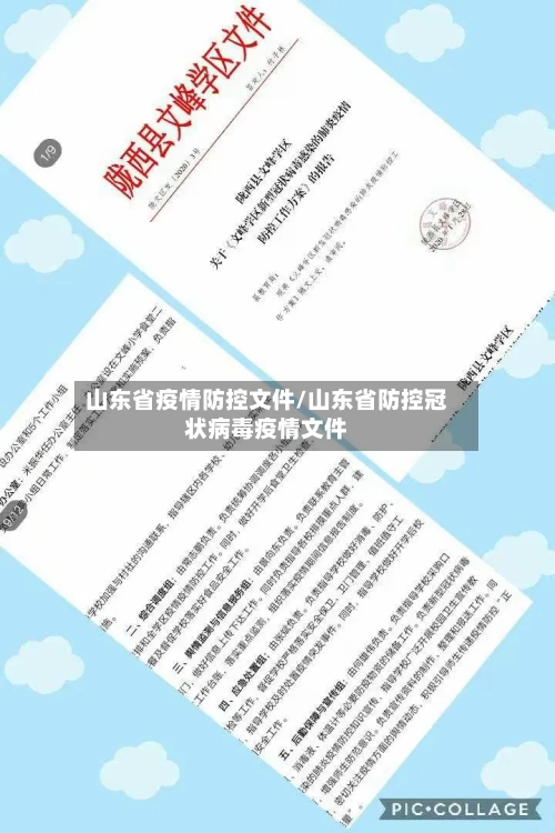 山东省疫情防控文件/山东省防控冠状病毒疫情文件-第1张图片