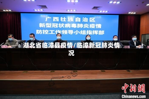 湖北省临漳县疫情/临漳新冠肺炎情况-第1张图片