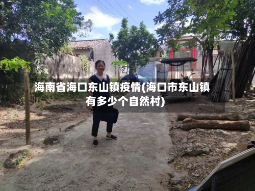 海南省海口东山镇疫情(海口市东山镇有多少个自然村)-第1张图片