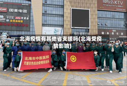 北海疫情有其他省支援吗(北海受疫情影响)-第1张图片