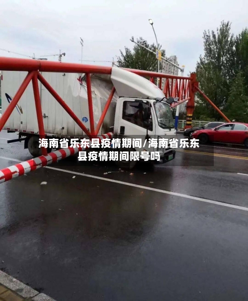 海南省乐东县疫情期间/海南省乐东县疫情期间限号吗-第2张图片