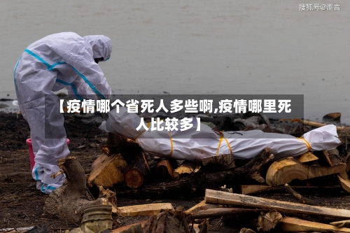 【疫情哪个省死人多些啊,疫情哪里死人比较多】-第3张图片