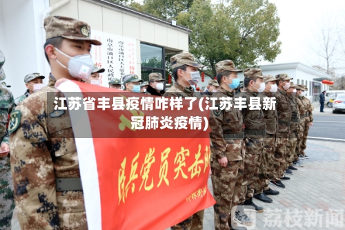 江苏省丰县疫情咋样了(江苏丰县新冠肺炎疫情)-第2张图片