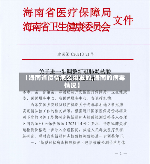 【海南省疫情怎么爆发的,海南的病毒情况】-第2张图片