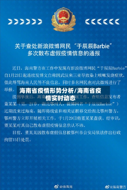海南省疫情形势分析/海南省疫情实时动态-第3张图片