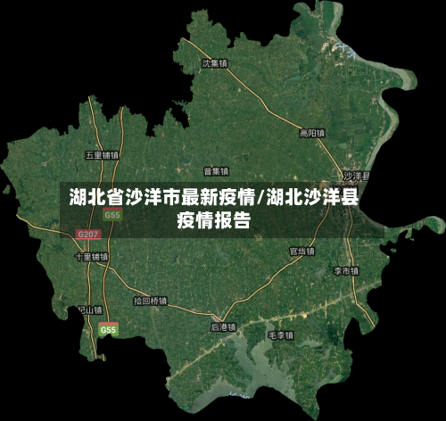 湖北省沙洋市最新疫情/湖北沙洋县疫情报告-第2张图片